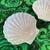 Nautical Pair of White Ceramic Seashell Plates For Sale - Image 3 of 9
