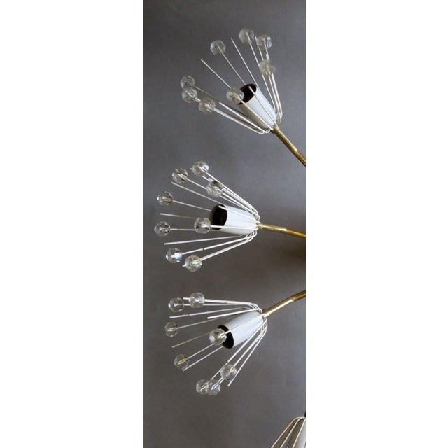 Vintage Austrian Elliptical Brass and Glass Chandelier, 1950s For Sale - Image 12 of 15