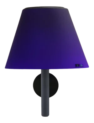 Itre Murano Glass Wall Lamp by Carlo Nason