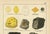 Kenngott, Set of Two Mineralogy Chromolithographs, Fluorite, Amber & Coal, 1888, Paper For Sale - Image 6 of 10