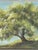 Small Vintage Original Landscape Oil Painting on Canvas Board, Signed Price For Sale - Image 4 of 4