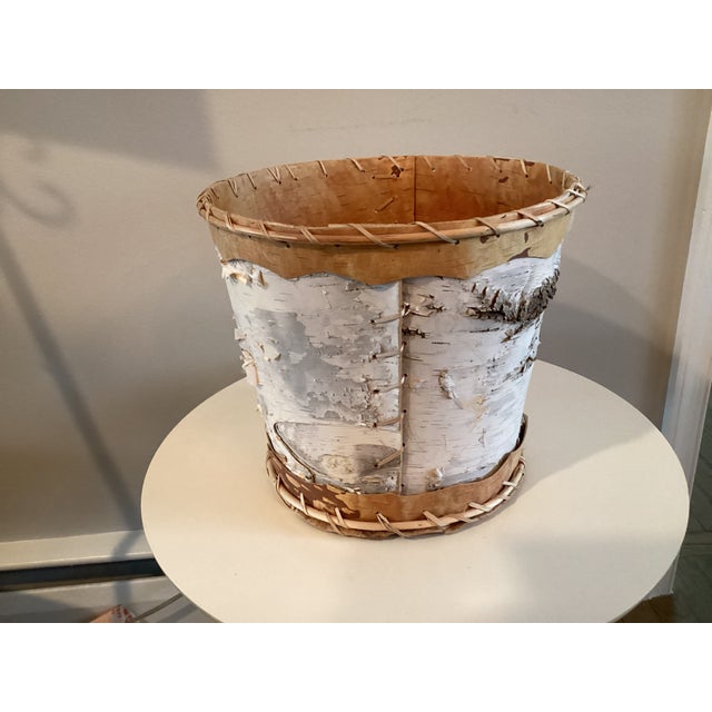 Large Birchbark Wastebasket in the Style of Baskets Made by Native American Arts and Crafts For Sale In Washington DC - Image 6 of 15