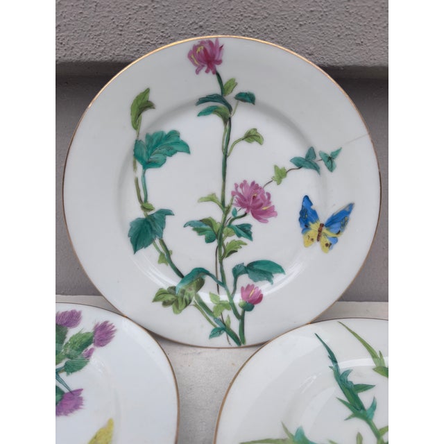 French Set of 4 Porcelain Plates Butterfly & Flowers Circa 1890 For Sale - Image 4 of 6