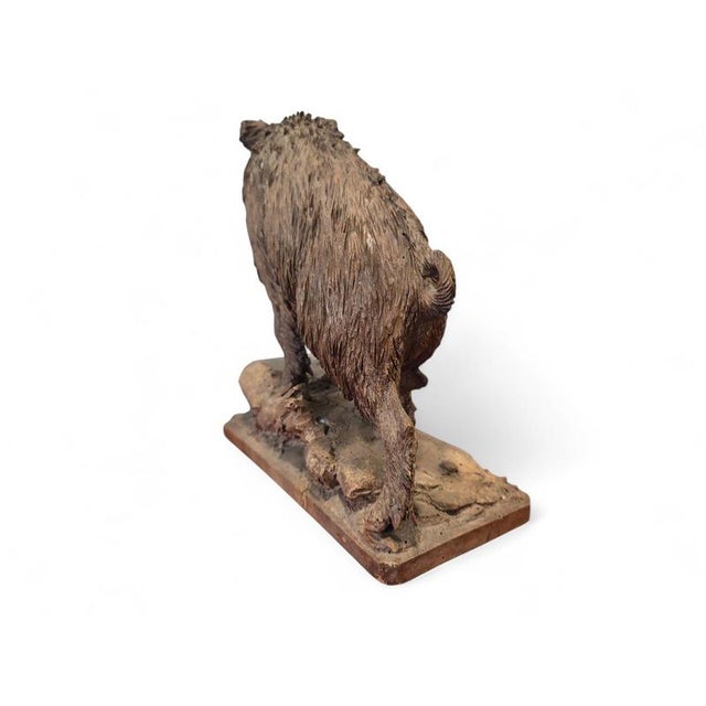 Antique Black Forest Carved Warthog Sculpture, 1880 For Sale - Image 7 of 11