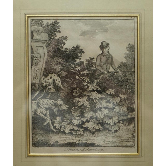 Robert Dodd, Pheasant Shooting, 1748-1816, Copperplate Engraving, Framed For Sale - Image 3 of 18