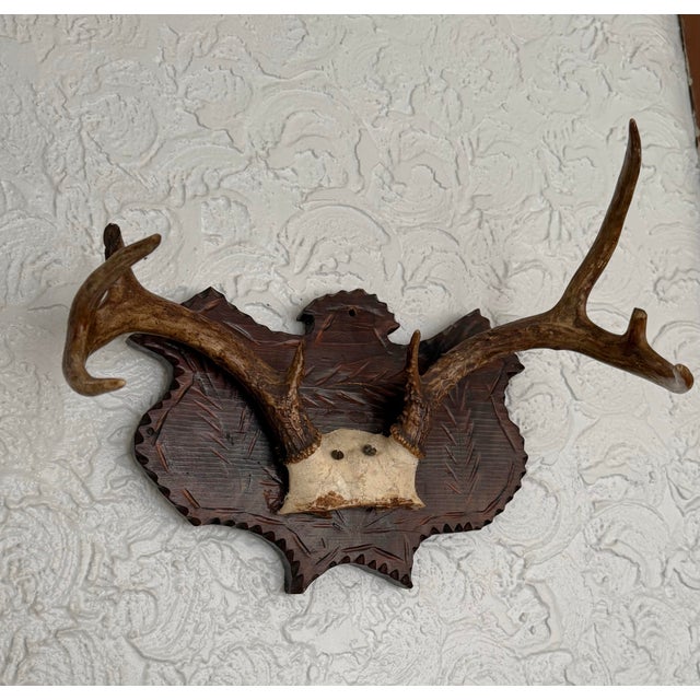 A midcentury deer antler trophy mounted on a dark-stained wood shield plaque. The plaque has chip carving and notched...