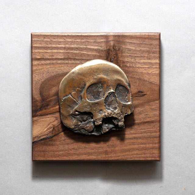 This artwork presents a flat skull rendered in bronze, set against a rich walnut background that enhances its organic...