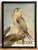 An authentic English pub sign (one-sided) featuring a beautiful painting of a falcon perched on a tree stump, titled The...