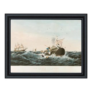 Sperm Whale in a Flurry Reproduction Print Behind Glass in Black Solid Wood Frame- 11x14" Print, 12-3/4" X 15-3/4" Framed For Sale