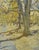 Cheesman Park by Mikael Olson | Oil Painting of trees and park scenery in autumn. For Sale