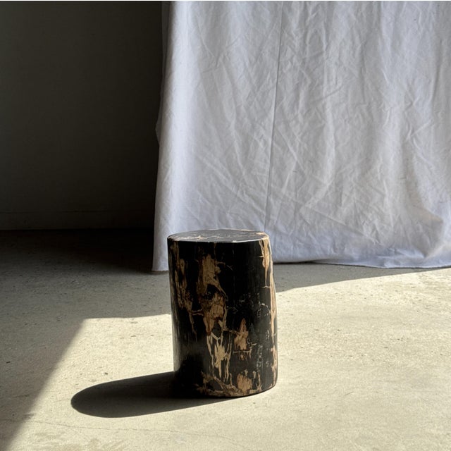 Side Table in Black Petrified Wood with Beige Sides, 1980s For Sale - Image 6 of 18