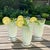 11 Sasaki Noritake Bamboo Etched Juice Glasses-Vintage-Japan-MCM Barware Set For Sale - Image 10 of 11
