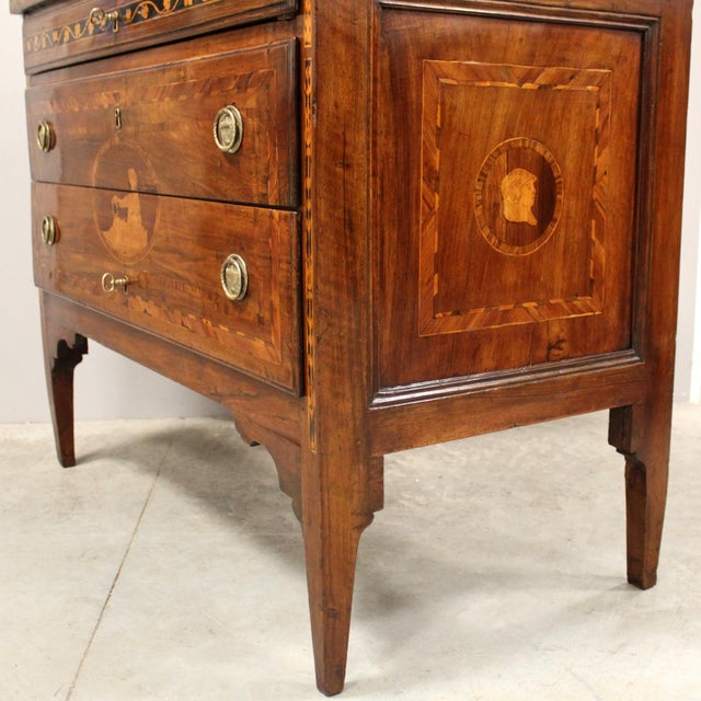 18th Century Italian Louis XVI Chest of Drawers in Walnut For Sale - Image 12 of 16