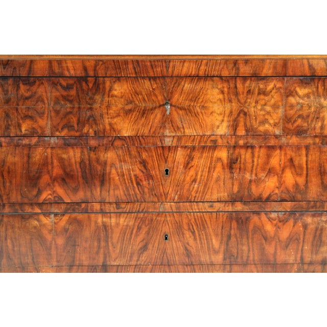 Brown Antique Louis Philippe Style Burl Walnut Chest of Drawers With Marble Top For Sale - Image 8 of 11
