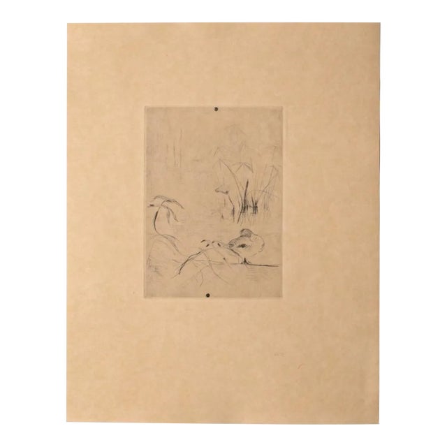 Unknown, Duck On the Lake, Etching, 19th Century For Sale