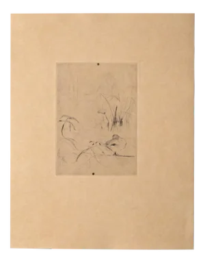 Unknown, Duck On the Lake, Etching, 19th Century