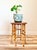Antique tortoiseshell bamboo side table with woven rush top, English, circa 1800s - Dimensions: approximately 18"H x 14"...