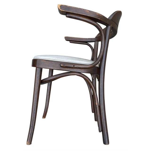 Early 20th Century , Thonet Style Arm Chair For Sale - Image 13 of 18