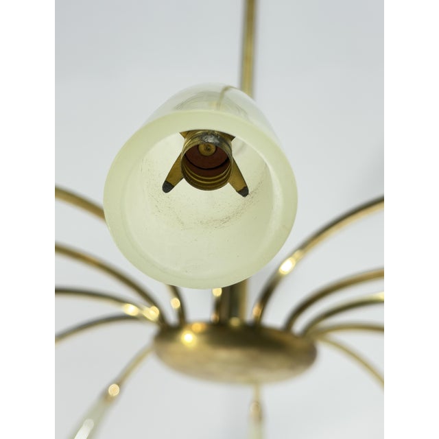 12-Light Spider Hanging Lamp in Brass and Murano Glass in the style of Ercole Barovier, 1950 For Sale - Image 11 of 15