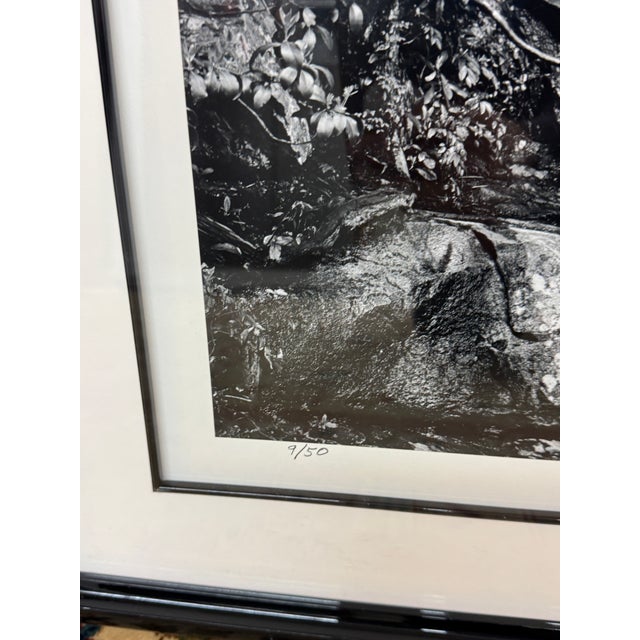 Robert Morris Laurel Falls in Smokey Mountain National Park, Tennessee Limited Photograph, Certificate For Sale - Image 9 of 11