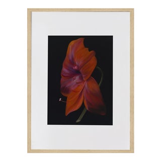 La Belle Dame Art Print 11.8x15.8 - by Holly Lowen, Oak Frame For Sale