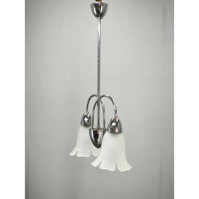 Vintage Pendant Light in Chrome and Floral Glass by Elektroinstala Děčín, 1950s For Sale - Image 12 of 14