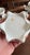 Ceramic Rare Antique English Bone China Bat Printed Tea Service, by Ridgway, Pattern 1684/2, Circa 1830s - 22 pcs For Sale - Image 7 of 18