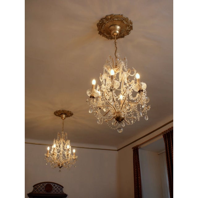 Italian Crystal Chandelier Mechini Firenze For Sale - Image 3 of 16