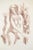 Malda Muizule, Nude Ladies, 1986, Lithograph, in Good conditions. Designed 1980 to 1989 This piece has an attribution...