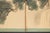 Wood 1960s Chinese Painted 4-Panel Screen "Old Pine Tree and Monkey" For Sale - Image 7 of 12