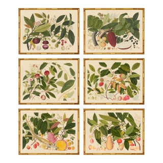 Group of Six Framed Tropical Botanicals in Bamboo Set #4 For Sale