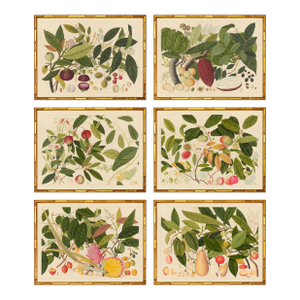 Group of Six Framed Tropical Botanicals in Bamboo Set #4