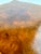 Vintage r.a. Importing Co. Burl Wood Tripod Drinks Table For Sale - Image 10 of 13
