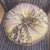 Art Nouveau Silk Taffeta Covered Hat Box For Sale - Image 3 of 5