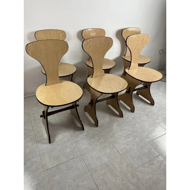 Set of 6 Pedini Fano Mid-Century chairs, Italian 60s design Curved and shaped beech multilayer, light laminate, intact and...