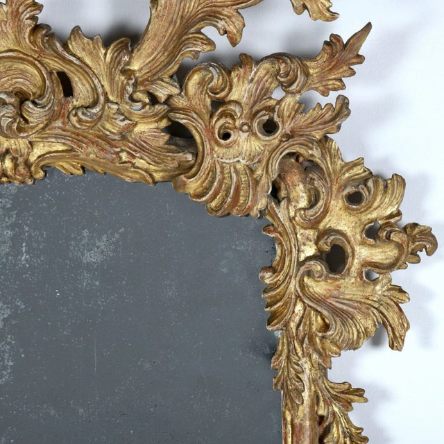 19th C. Italian Rococo Giltwood Mirror With Original Mirror Plate For Sale - Image 4 of 9