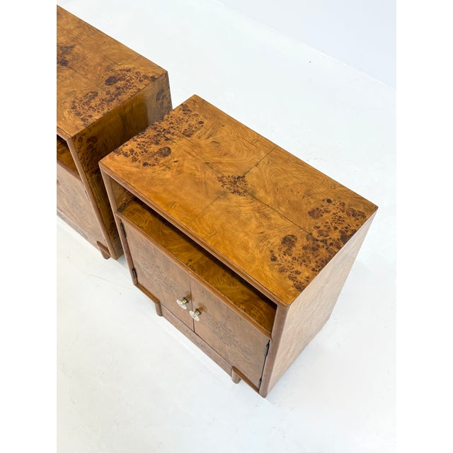 Vintage Art Deco Bedside Tables with Root Wood, 1950s, Set of 2 For Sale - Image 11 of 12