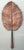 Vintage Copper Botanical Wall Art For Sale - Image 12 of 12