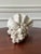 Vintage Grotto Style Wall Sconces— A Pair For Sale - Image 9 of 11
