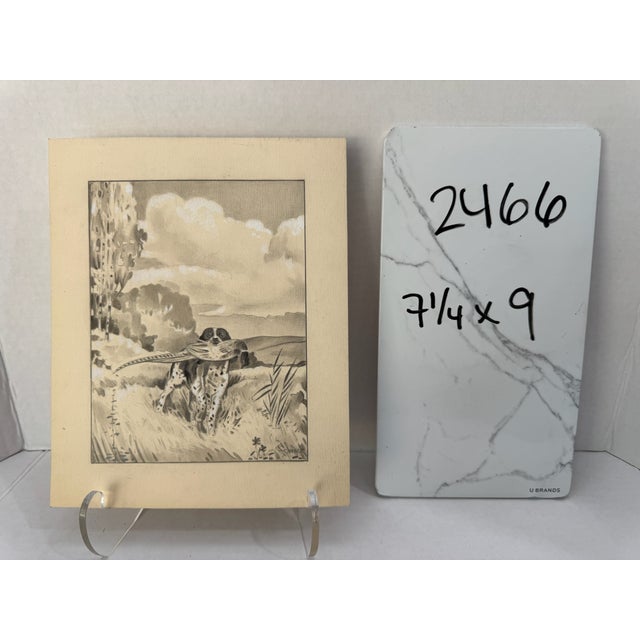 Original Signed Graphite Illustration of Hunting Dog Retrieving Pheasant, 7.25 × 9 In. For Sale In Atlanta - Image 6 of 6