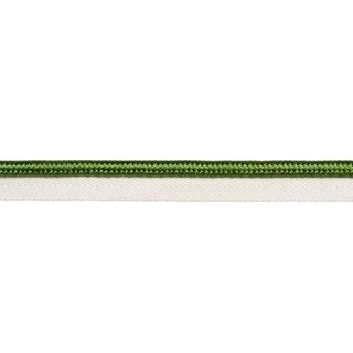 Schumacher Gustave Silk Lip Cord Wide Trim In Green For Sale