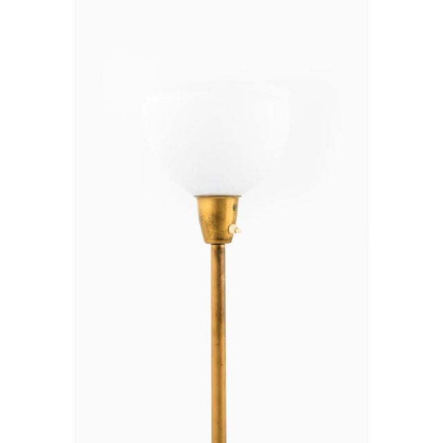 Bergboms Floor Lamp in Brass and Glass from Bergboms, 1950s For Sale - Image 4 of 9