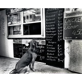 The Dresden Dog Original Black & White Photograph For Sale