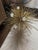 Arteriors Home Arteriors Zanadoo Small Chandelier – Antique Brass For Sale - Image 4 of 4