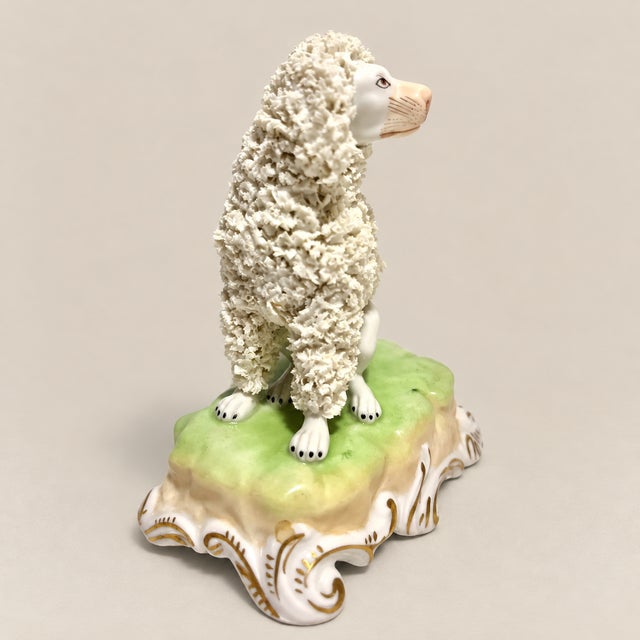 Early 20th Century Antique Dresden Germany Porcelain Poodle With Applied Floral Encrustation For Sale - Image 5 of 7