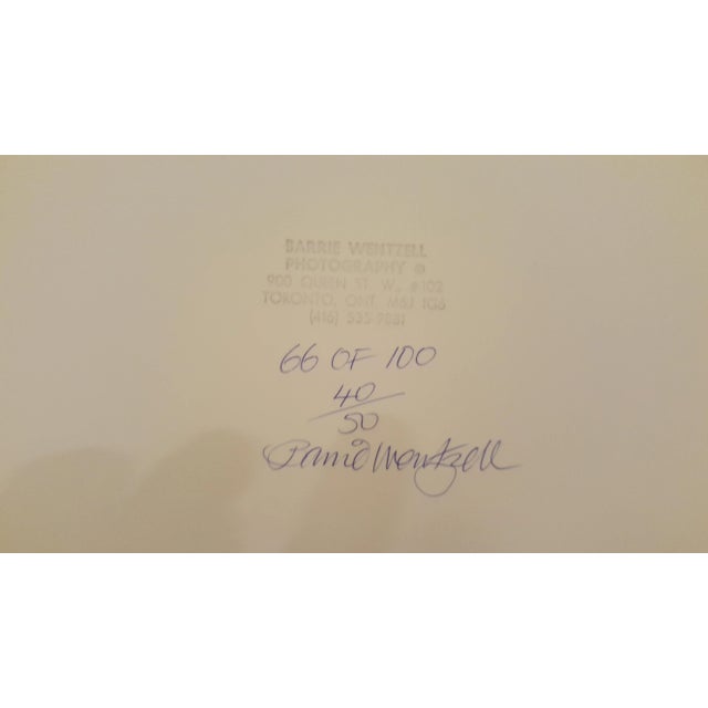 Donovan Photography by Barrie Wentzell For Sale - Image 5 of 5