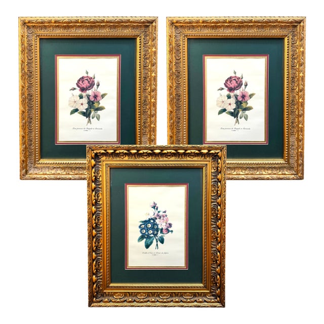 Grand Scale French Framed Botanical Set by Pierre-Joseph Redouté Reproduction Prints - Set of 3 For Sale