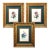 Grand Scale French Framed Botanical Set by Pierre-Joseph Redouté Reproduction Prints - Set of 3 For Sale