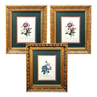 Late 20th Century Grand Scale French Framed Botanical Set by Pierre-Joseph Redouté Reproduction Prints - Set of 3 For Sale