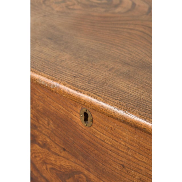 Brown 19th Century Elmwood Blanket Chest For Sale - Image 8 of 15